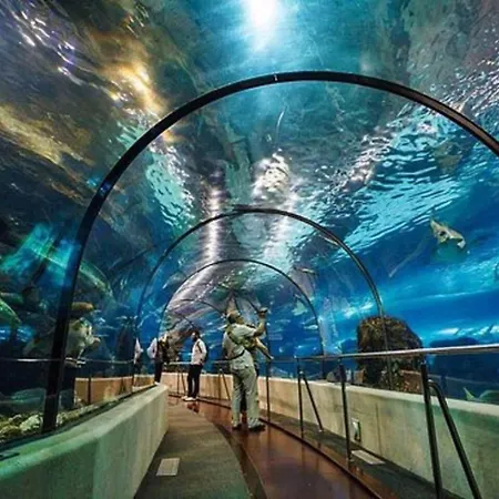 Duplex Confort * La Rochelle (Charente-Maritime)